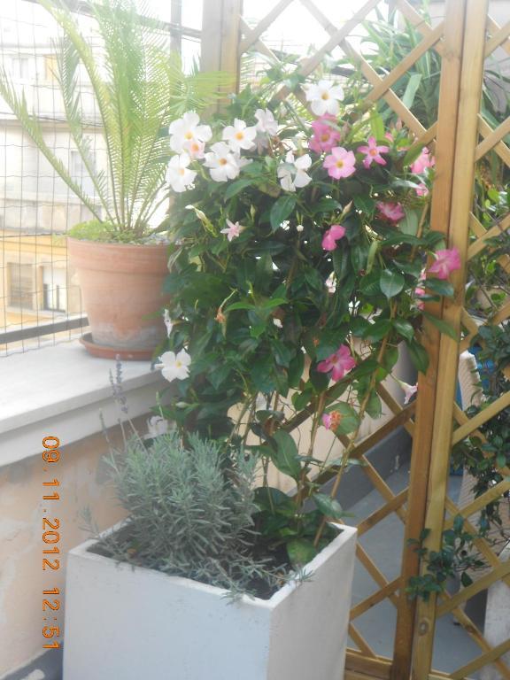 The Loft Guest House Рим Екстериор снимка